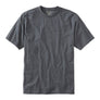 LL Bean Men's Carefree Unshrinkable Tee, Traditional Fit Short-Sleeve (224547)