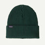 Patagonia Fishermans Rolled Beanie (29105)