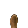 Ariat Men's Activator Argo H2O Comp Toe (10063861)
