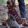 Dog in a buffalo plaid jacket sitting on the ground.