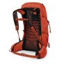 Back view of an orange hiking backpack with black accents against a white background