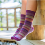 Darn Tough Kids Zebra Canyon Micro Crew Lightweight Hiking Sock (3042)