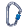 Black Diamond HotForge Screwgate Carabiner