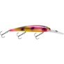 Bandit Generator-Bandit-Wind Rose North Ltd. Outfitters