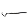 Berkley Powerbait Power Worms 7"-Berkley-Wind Rose North Ltd. Outfitters