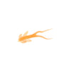 Clam Maki Matdi Soft Plastic Bait-Clam-Wind Rose North Ltd. Outfitters