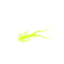 Clam Maki Matdi Soft Plastic Bait-Clam-Wind Rose North Ltd. Outfitters
