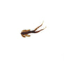 Clam Maki Matdi Soft Plastic Bait-Clam-Wind Rose North Ltd. Outfitters