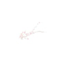 Clam Maki Matdi Soft Plastic Bait-Clam-Wind Rose North Ltd. Outfitters