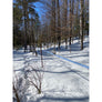 Johnsen's Pure Maple Syrup