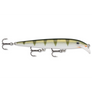 Rapala Scatter Rap Minnow SCRM-11-Rapala-Wind Rose North Ltd. Outfitters