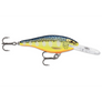 Rapala Shad Rap SR-5-Rapala-Wind Rose North Ltd. Outfitters