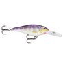 Rapala Shad Rap SR-5-Rapala-Wind Rose North Ltd. Outfitters