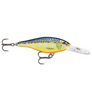 Rapala Shad Rap SR-7-Rapala-Wind Rose North Ltd. Outfitters