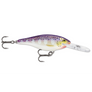 Rapala Shad Rap SR-7-Rapala-Wind Rose North Ltd. Outfitters