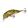 Rebel Wee-Crawfish-Rebel-Wind Rose North Ltd. Outfitters