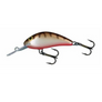 Salmo Hornet Floating 4-Salmo Hornet-Wind Rose North Ltd. Outfitters