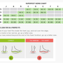 Superfeet Green Insoles