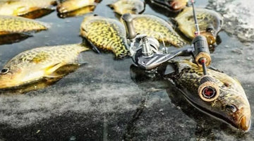 JT Rods!