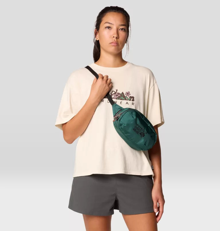 Mountain Hardwear Field Day Hip Pack (OU7678)