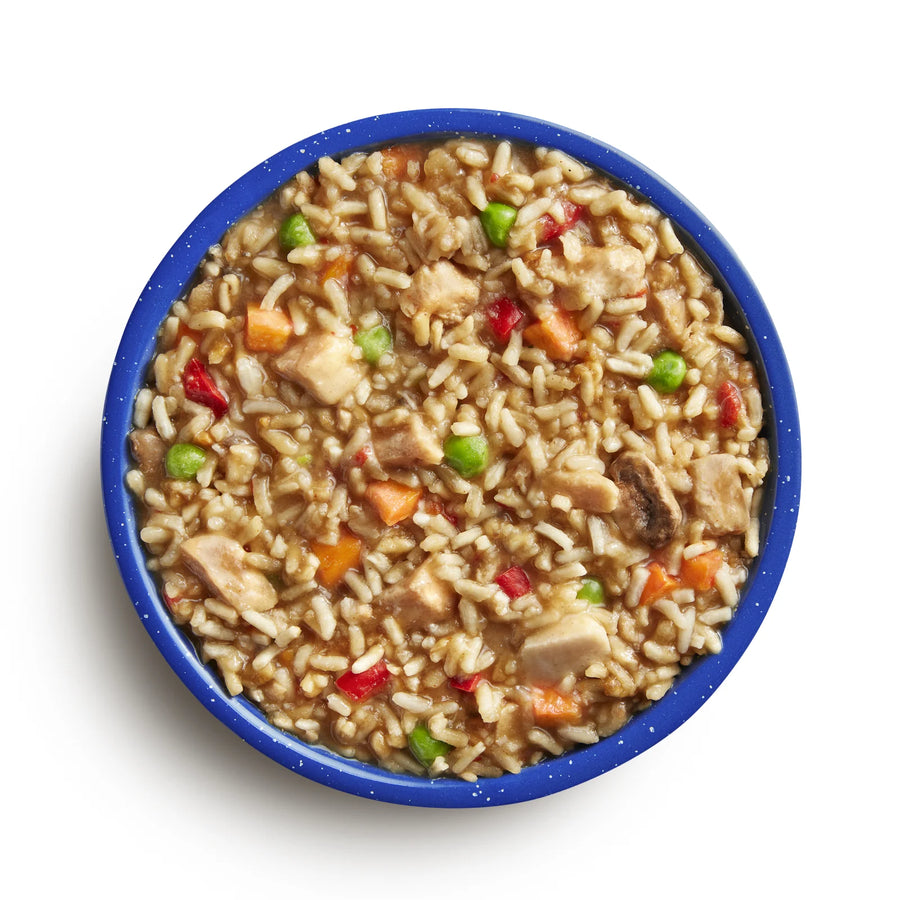 Mountain House Chicken Teryaki- Pouch
