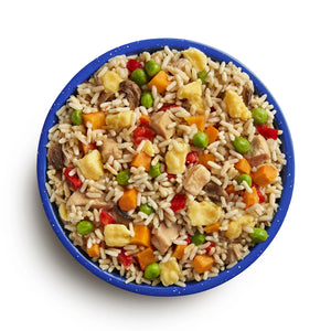 Mountain House Meals Chicken Fried Rice