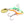 Clam Tikka Flash Crankbait