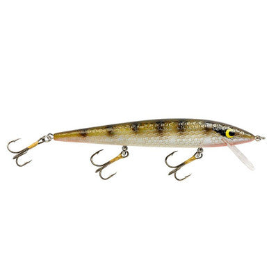 Smithwick Suspending Rattlin' Pro Rogue