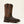 x Ariat Men's Activator VentTEK Waterproof Steel Toe Work Boot (10061119)