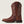 Ariat Women's Delilah StretchFit Wide Square Toe Western Boot (10040284)