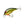 Bandit Lures Series 100