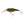 Berkley Flicker Shad 5
