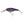 Berkley Flicker Shad 5