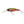 Berkley Flicker Shad 5