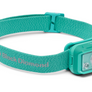 Sea foam green colored head lamp against a white background.