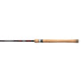 Shimano Convergence Multi Species Spinning Rod