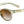 Tifosi Svago Sunglasses