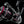 Daiwa Fuego LT Spinning Reel