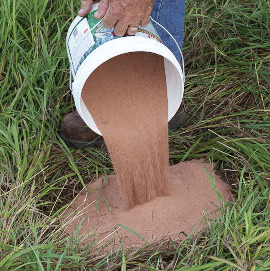 Lucky Buck Deer Mineral