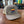 Wind Rose North Outfitters Trucker Hat