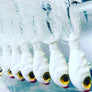 Kit's Tackle Glass Minnow Hair Jigs