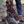 Dog in a buffalo plaid jacket sitting on the ground.