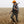 Person in a field holding a rifle wearing olive green pants and a yellow hat