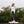 Women standing on a dock with a fishing pole wearing dark grey drawstring pants