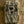 Browning Defender Pro Scout Max