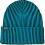Teal and black stripped hat that folds up at the bottom and has a small Patagonia tag on the top of the flipped up part.