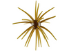 Queen Magnum 20 Porcupine Balls