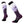 Smartwool Women's Over-the-Calf Ski Socks FC (SW002170)