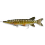 Savage Gear 3D Line Thru Pike