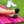 Darn Tough Women's Solid No Show Invisible Lightweight Lifestyle Sock (6044)